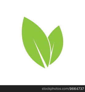 leaf logo icon vector design