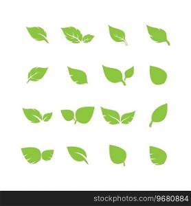 leaf logo icon vector design