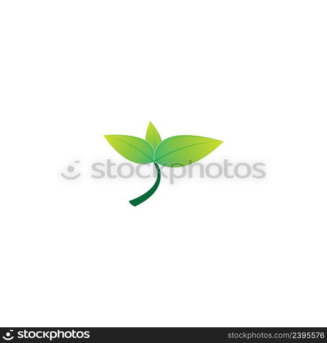 leaf logo icon vector design template