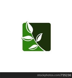 leaf logo template