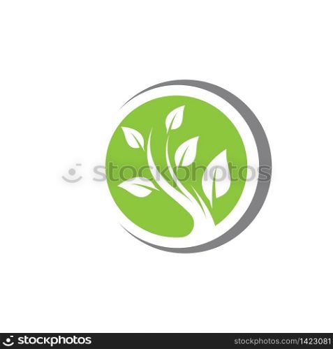 Leaf logo template vector icon design