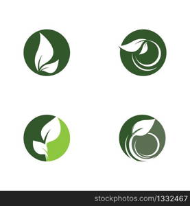 Leaf logo template vector icon illustration