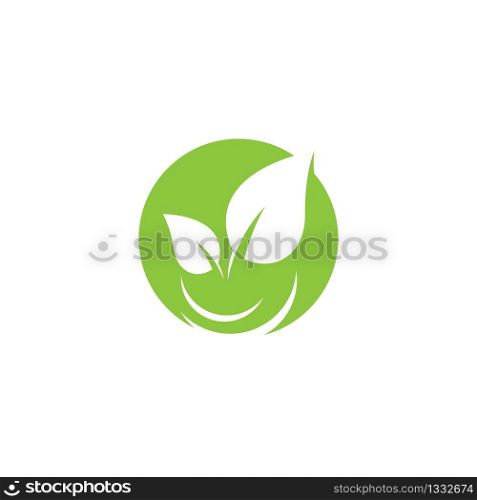 Leaf logo template vector icon illustration