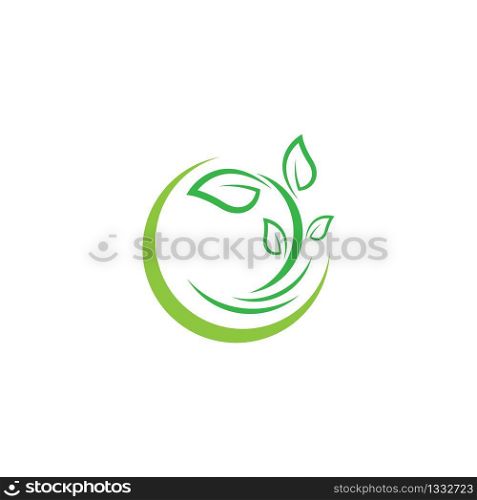 Leaf logo template vector icon illustration