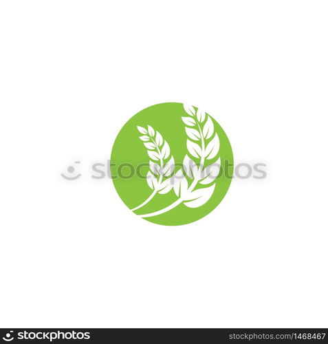 Leaf Logo Template vector symbol nature