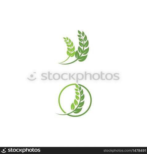 Leaf Logo Template vector symbol nature