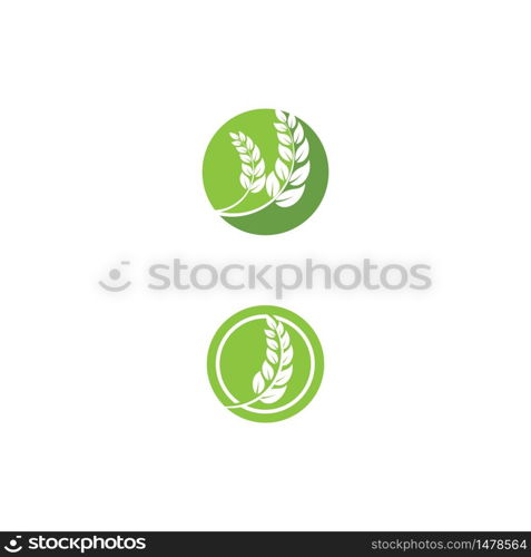 Leaf Logo Template vector symbol nature