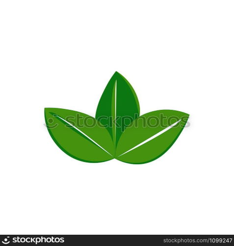 leaf logo vector