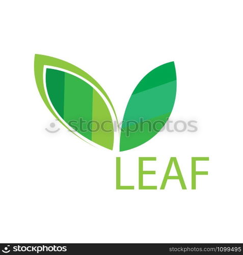 leaf logo vector