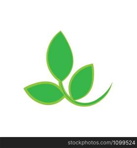 leaf logo vector