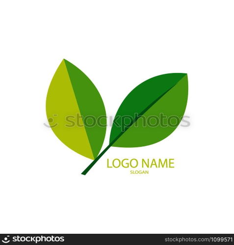 leaf logo vector