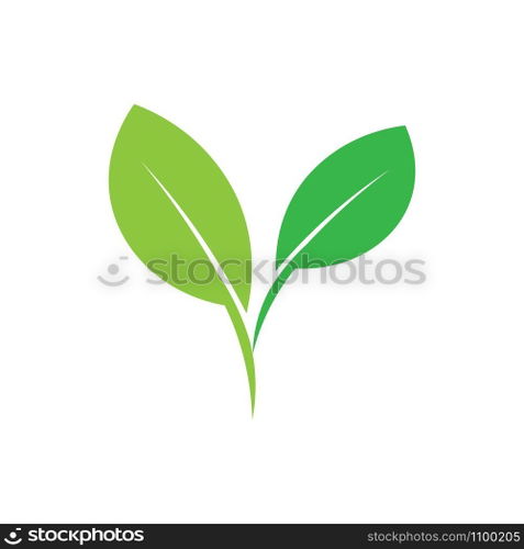 leaf logo vector