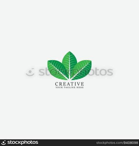 leaf logo vector