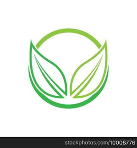 Leaf logo vector icon design template