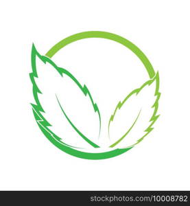 Leaf logo vector icon design template