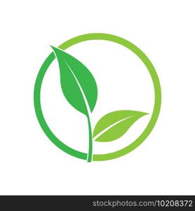 Leaf logo vector icon design template