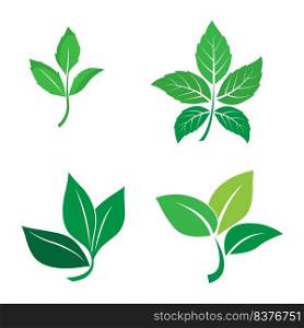 leaf logo vector illustration design