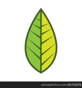 leaf logo vector illustration template design