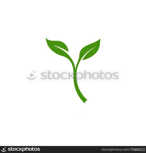 Leaf Logo vector Template