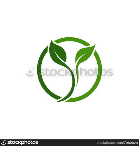 Leaf Logo vector Template