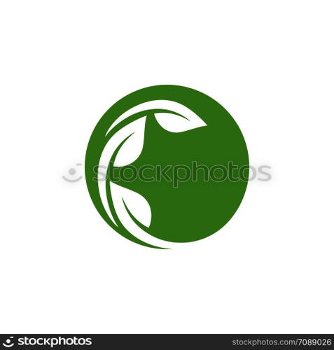 Leaf Logo vector Template