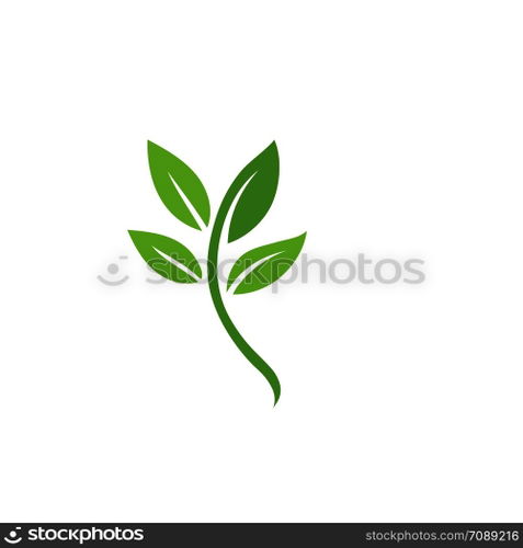 Leaf Logo vector Template