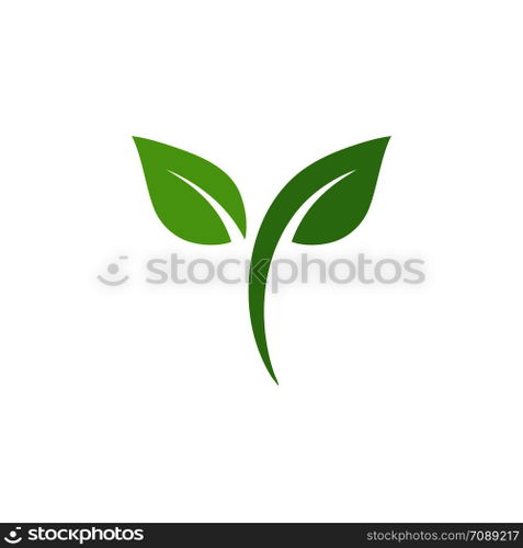 Leaf Logo vector Template