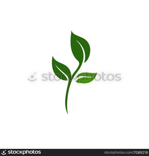 Leaf Logo vector Template