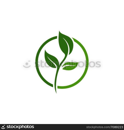 Leaf Logo vector Template