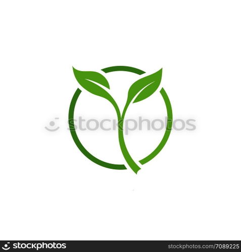 Leaf Logo vector Template
