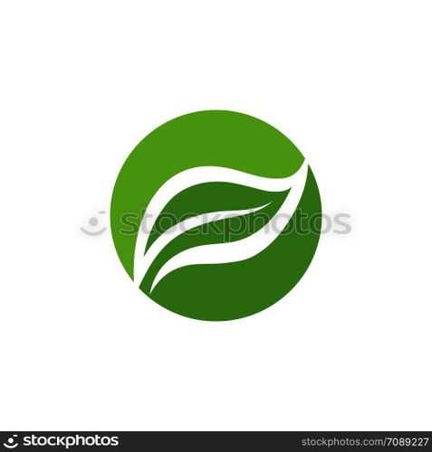 Leaf Logo vector Template