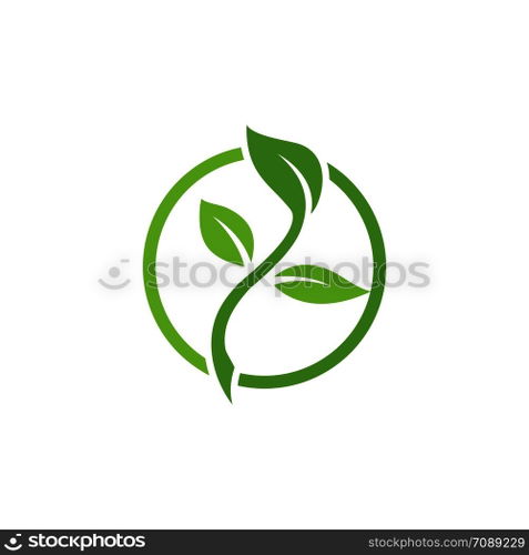 Leaf Logo vector Template
