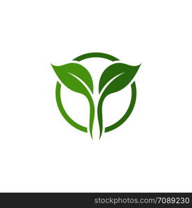 Leaf Logo vector Template