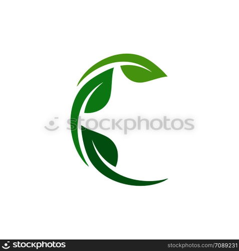 Leaf Logo vector Template