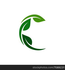 Leaf Logo vector Template