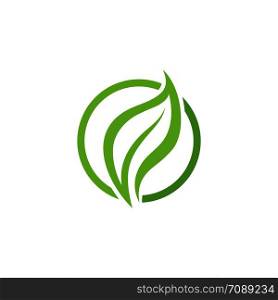 Leaf Logo vector Template