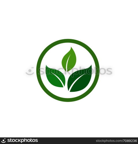Leaf Logo vector Template