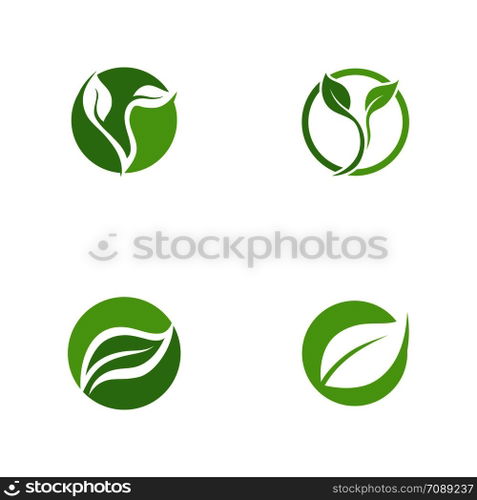 Leaf Logo vector Template