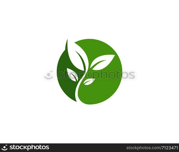 Leaf Logo vector Template