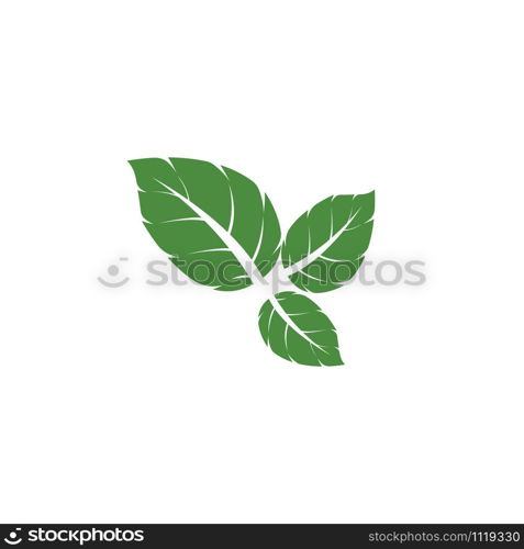 Leaf Mint Logo Template vector symbol nature