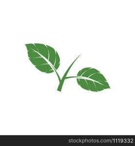 Leaf Mint Logo Template vector symbol nature