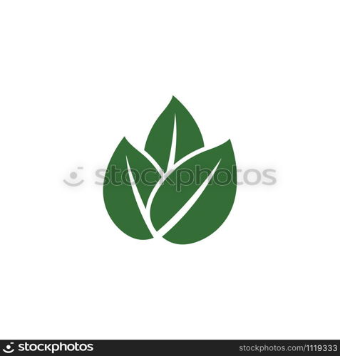 Leaf Mint Logo Template vector symbol nature