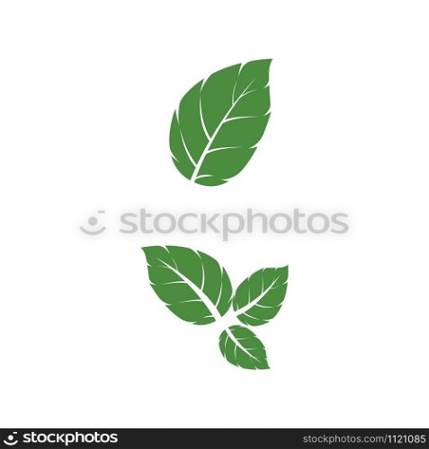 Leaf Mint Logo Template vector symbol nature