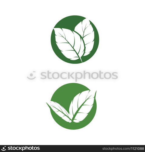 Leaf Mint Logo Template vector symbol nature