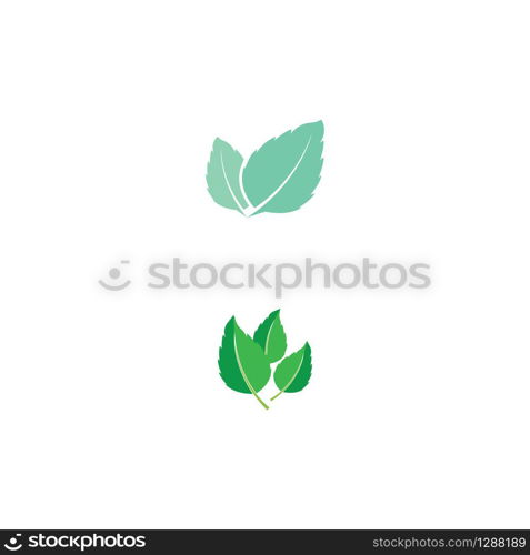 Leaf Mint Logo Template vector symbol nature