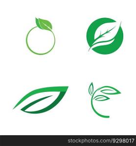 leaf nature ecology icon vector illustration template design