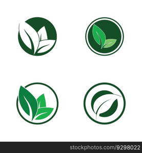 leaf nature ecology icon vector illustration template design