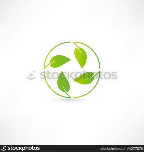 Leaf nature icon