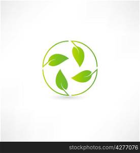 Leaf nature icon