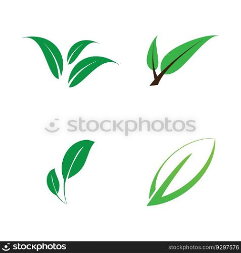 leaf nature icon vector illustration template design